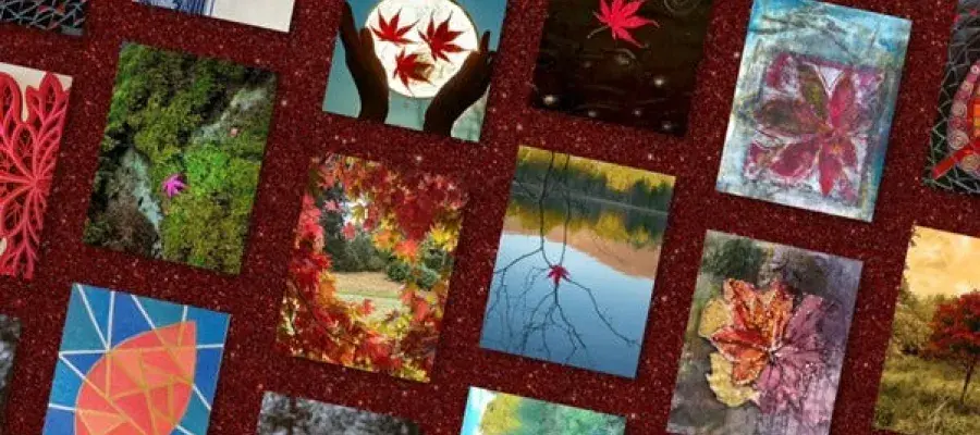 One Red Leaf at a Time Greetings Cards