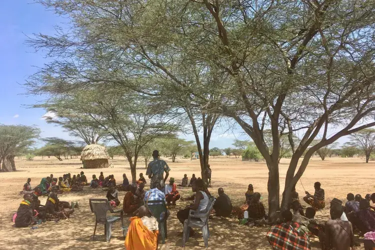 A group of people sits under a tree