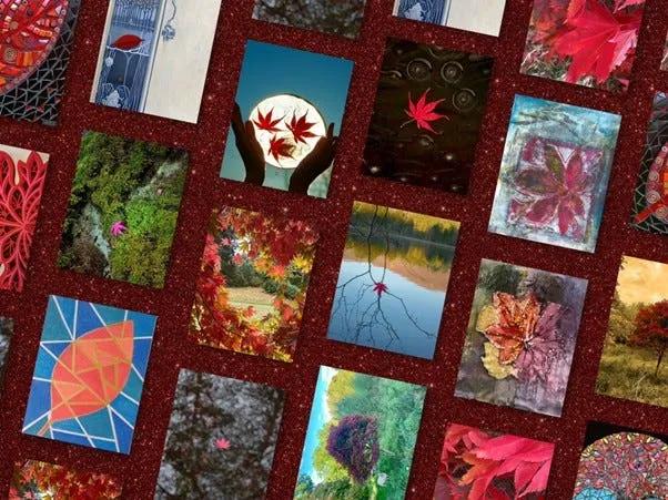 One Red Leaf at a Time Greetings Cards